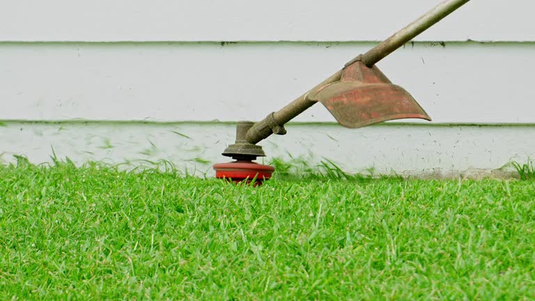 Best Tree Maintenance Programs  in Summit, WA